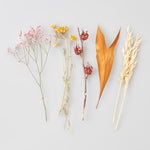 送料無料｜ドライフラワーおためしセット