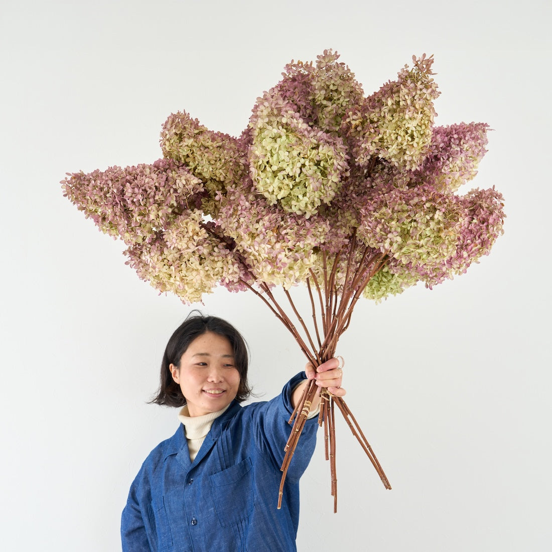 ドライフラワー］紫陽花 秋色ミナヅキ 商品ページ - 土と風の植物園