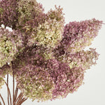［ドライフラワー］紫陽花 秋色ミナヅキ