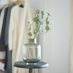 ［BIGボタニカル｜ドライ］ユーカリ ポポラス 90-100㎝