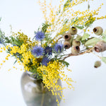 ［ドライフラワー］エリンジューム マグネーター