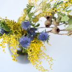 ［ドライフラワー］エリンジューム マグネーター