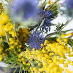 ［ドライフラワー］エリンジューム マグネーター