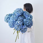 ［ドライフラワー］瀬戸内ブルーの紫陽花