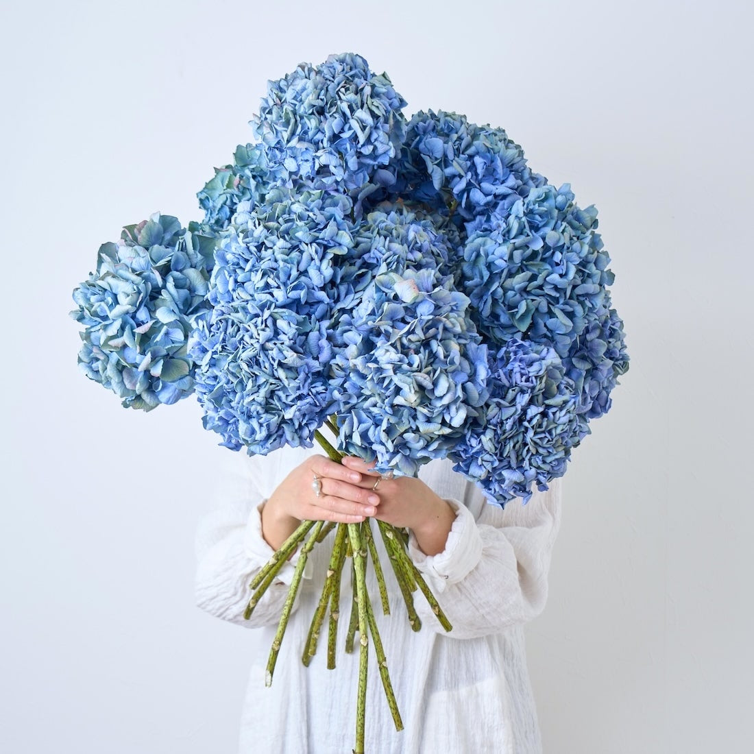 【美品】  ブルーフラワー　17cm 6P 618 Blue Tranquility（ブルー トランキリティー）