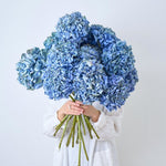 ［ドライフラワー］瀬戸内ブルーの紫陽花