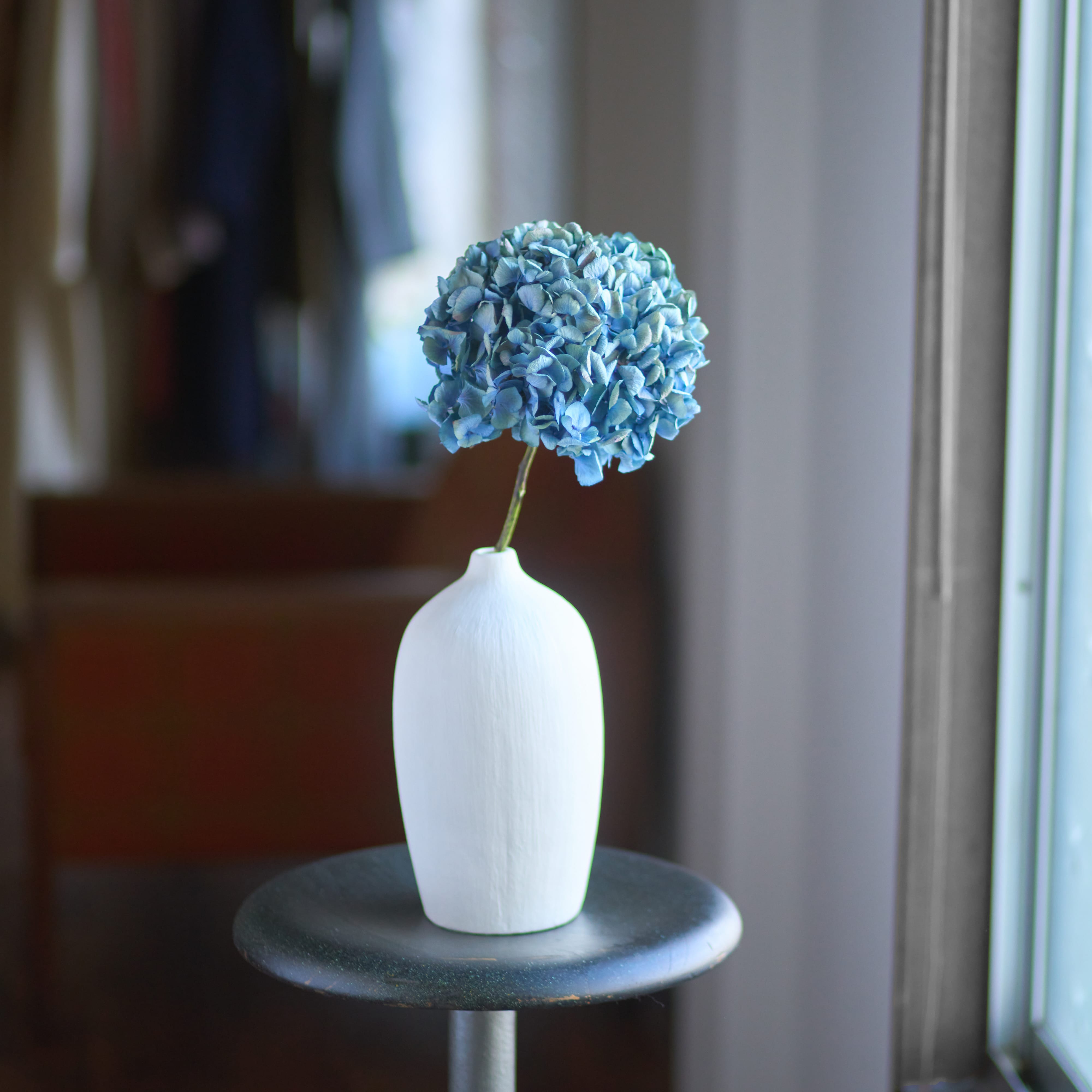 ドライフラワー］瀬戸内ブルーの紫陽花 商品ページ - 土と風の植物園