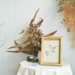 ［BIGボタニカル｜ドライ］タビビトノキ　