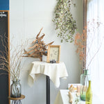 ［BIGボタニカル｜ドライ］タビビトノキ　