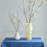 【今季販売終了】［フレッシュフラワー］花開く姿を楽しめる啓翁桜