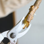 ［道具］剪定バサミ