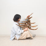 ［BIGボタニカル｜ドライ］タビビトノキ　