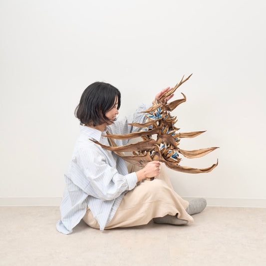 ［BIGボタニカル｜ドライ］タビビトノキ　