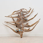 ［BIGボタニカル｜ドライ］タビビトノキ　