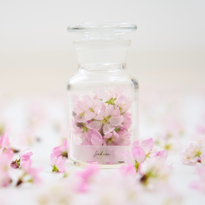 薄桃色に、春の記憶を閉じ込めて