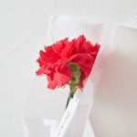 【母の日｜数量限定】一輪のフレッシュカーネーション［ラッピング付］＊送料無料