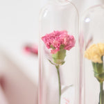 【母の日｜数量限定】ガラスのドライフラワーボトル［ラッピング付］