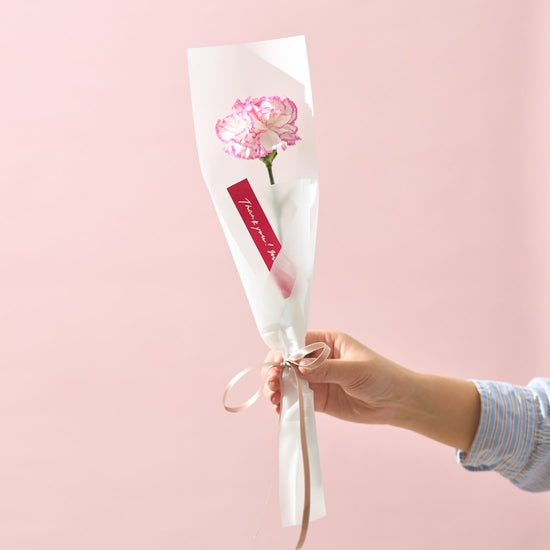 【母の日｜数量限定】一輪のフレッシュカーネーション［ラッピング付］＊送料無料