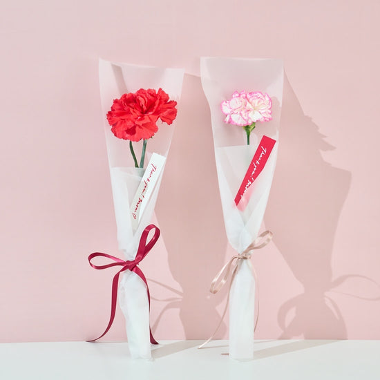 【母の日｜数量限定】一輪のフレッシュカーネーション［ラッピング付］＊送料無料