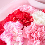 【母の日｜数量限定】フレッシュのカーネーションブーケ［ラッピング付］