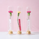 【母の日｜数量限定】ガラスのドライフラワーボトル［ラッピング付］