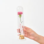 【母の日｜数量限定】ガラスのドライフラワーボトル［ラッピング付］