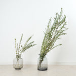 ［BIGボタニカル｜ドライ］ユーカリ ベイビーブルー 110㎝