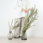 ［BIGボタニカル｜ドライ］ユーカリ ベイビーブルー 110㎝