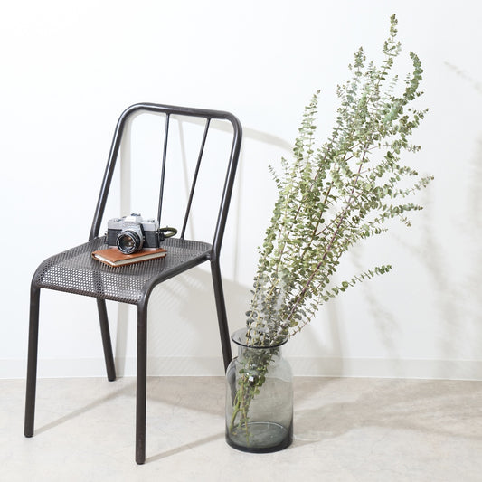 ［BIGボタニカル｜ドライ］ユーカリ ベイビーブルー 110㎝