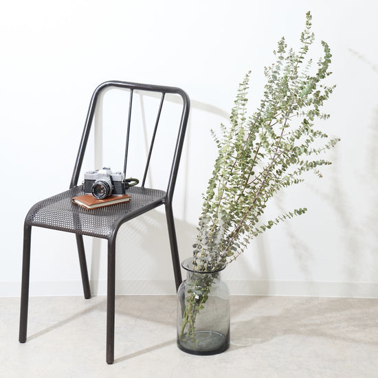 ［BIGボタニカル｜ドライ］ユーカリ ベイビーブルー 110㎝