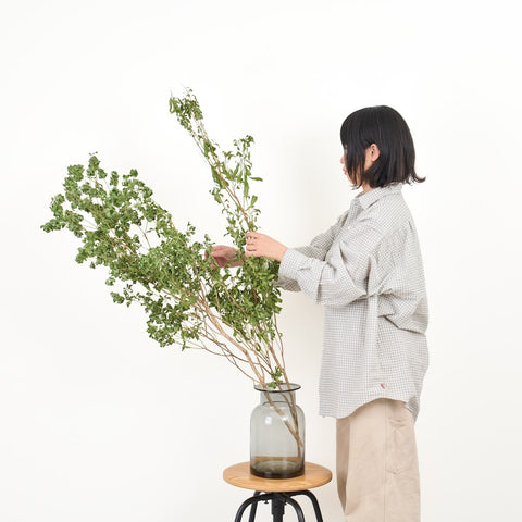アセビ160cm BIGボタニカル｜ドライ］アセビ 120㎝ 商品ページ - 土と風の植物園