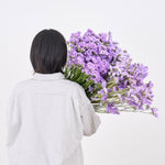 ［ドライフラワー］スターチス シヌアータ