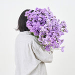 ［ドライフラワー］スターチス シヌアータ