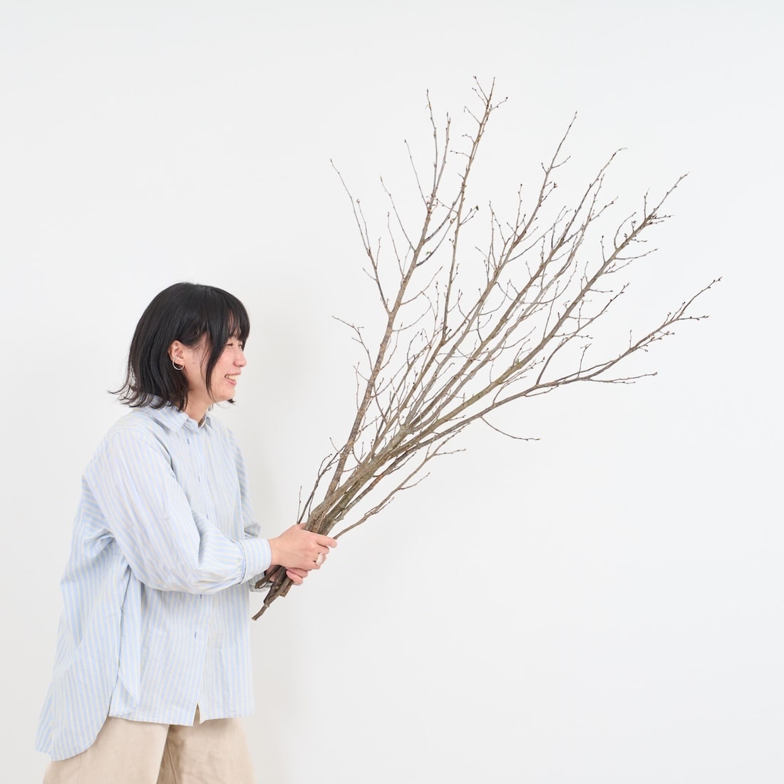 枝葉ページ BIGボタニカル］桜の枝 120cm 商品ページ - 土と風の植物園