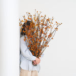 ［BIGボタニカル｜ドライ］ハナナス ピンポン 80-90cm