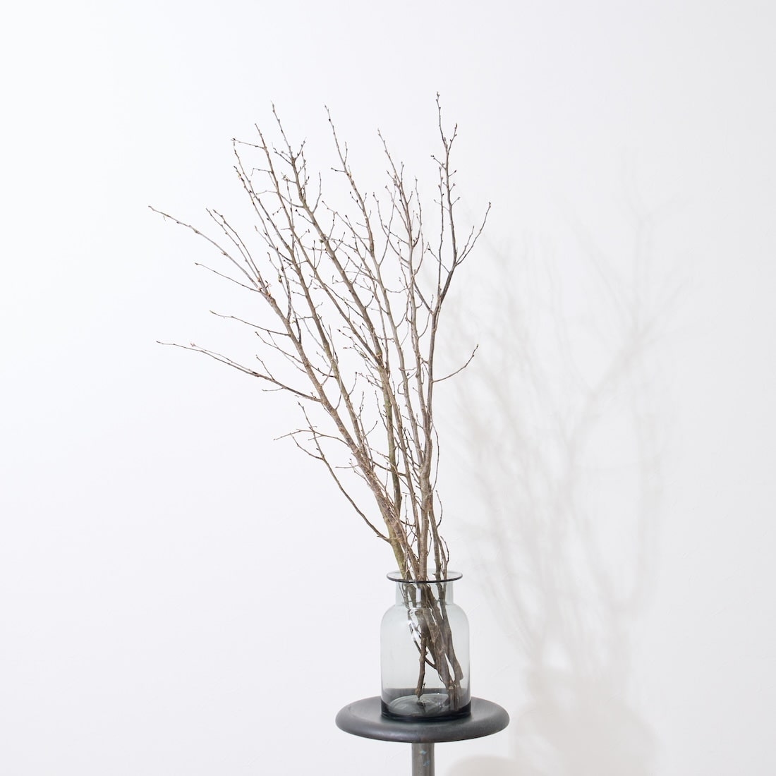 BIGボタニカル］桜の枝 120cm 商品ページ - 土と風の植物園