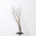 ［BIGボタニカル｜ドライ］桜の枝 120cm