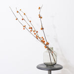 ［BIGボタニカル｜ドライ］ハナナス ピンポン 80-90cm