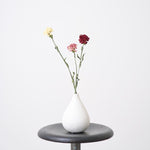 【ドライフラワー】［ドライフラワー］カーネーション