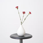 【ドライフラワー】［ドライフラワー］カーネーション