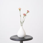 【ドライフラワー】［ドライフラワー］カーネーション