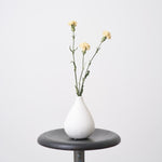 【ドライフラワー】［ドライフラワー］カーネーション