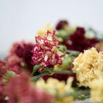 【ドライフラワー】［ドライフラワー］カーネーション