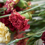 【ドライフラワー】［ドライフラワー］カーネーション