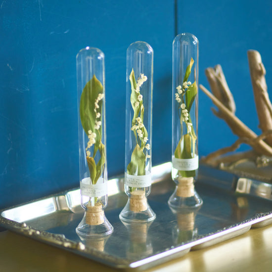 幸せを運ぶ、すずらんのドライフラワーボトル