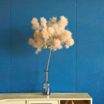 ［BIGボタニカル｜ドライ］スモークツリー 60-100㎝