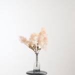 ［BIGボタニカル｜ドライ］スモークツリー 60-100㎝