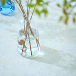 【出荷日指定商品】［フレッシュな状態でお届け］ドウダンツツジ