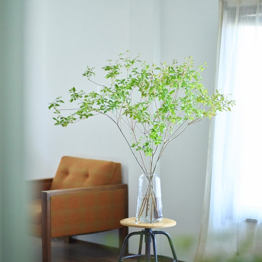 ［フラワーベース］ DOMU ガラスベース