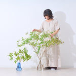 【出荷日指定商品】［フレッシュな状態でお届け］ドウダンツツジ